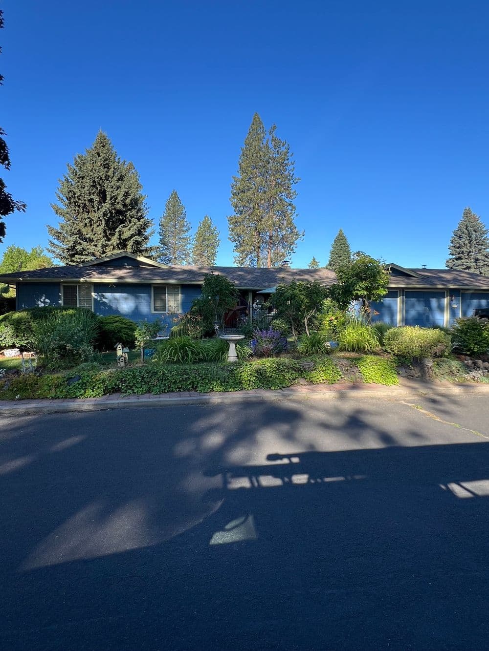 Blue ranch-style house surrounded by lush greenery and tall trees on a sunny day.