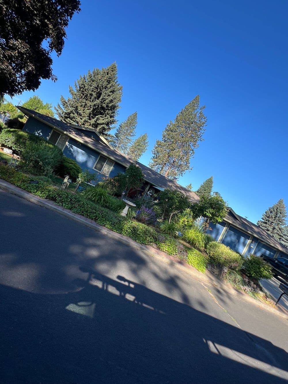 Residential home with landscaped garden, tall trees, and clear blue sky.